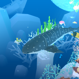 Walter, my Whale Shark. Crown jewel of my collection.